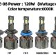 YZ08010