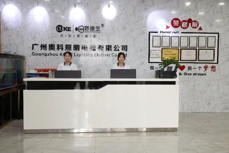 LED Manufacturer 15 Guangzhou Aoke Lighting Appliance Co., Ltd