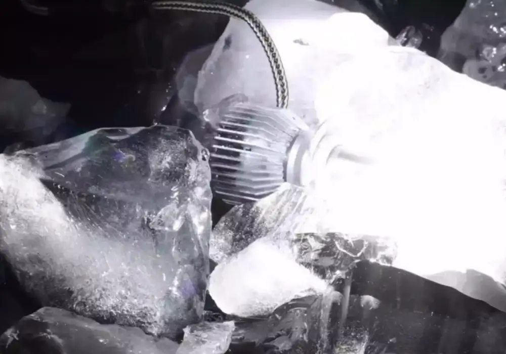 Our Factory 14 Frozen Test