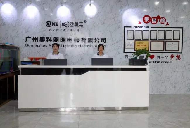 AKE LED Bulb Manufacturing Factory